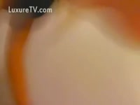 [ Animal Film ] Hot girl acquires exposed and widens her legs for her slutty dog